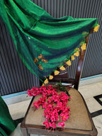 Sea Green ZardoshiTissue Saree